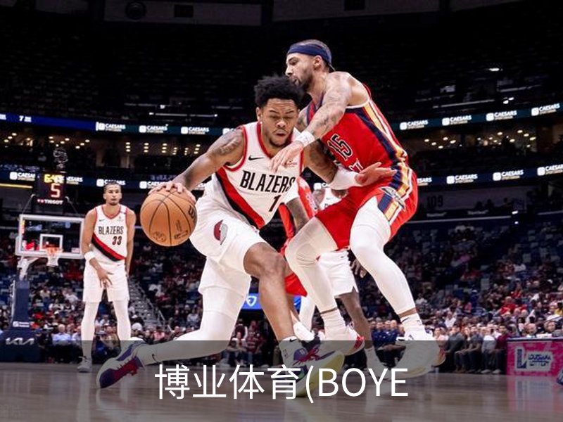 博业体育(BOYE概况