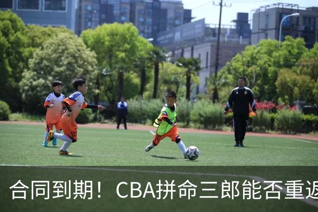合同到期！CBA拼命三郎能否重返广东？期待辅佐徐杰、胡明轩